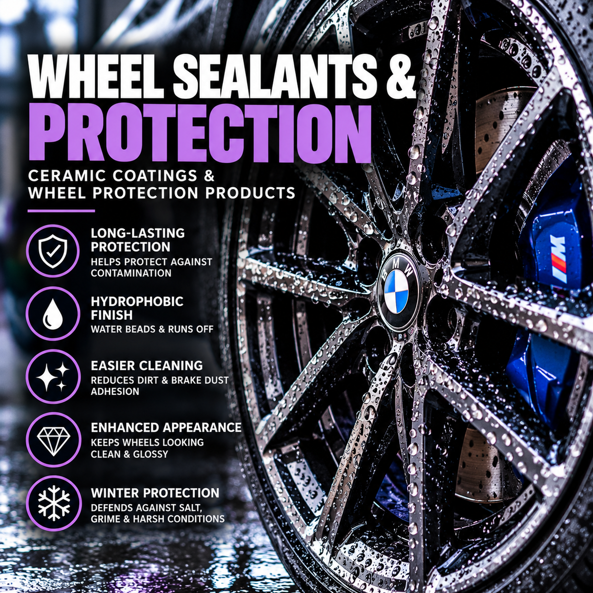 Wheel Sealants & Protection